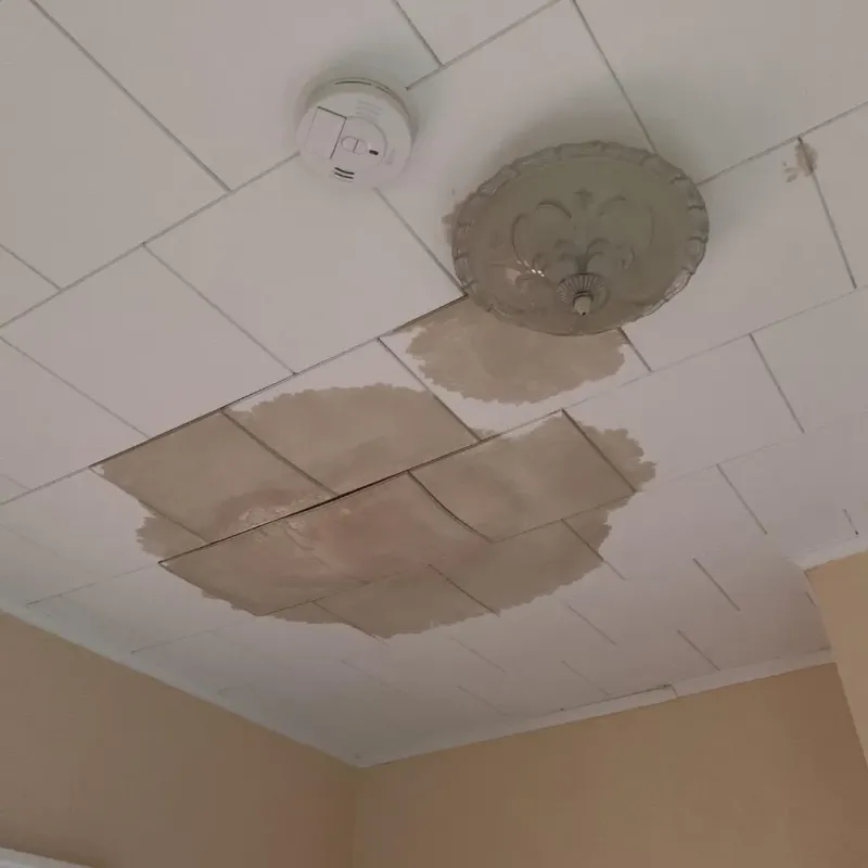 Ceiling Water Damage Repair in Brandermill, VA