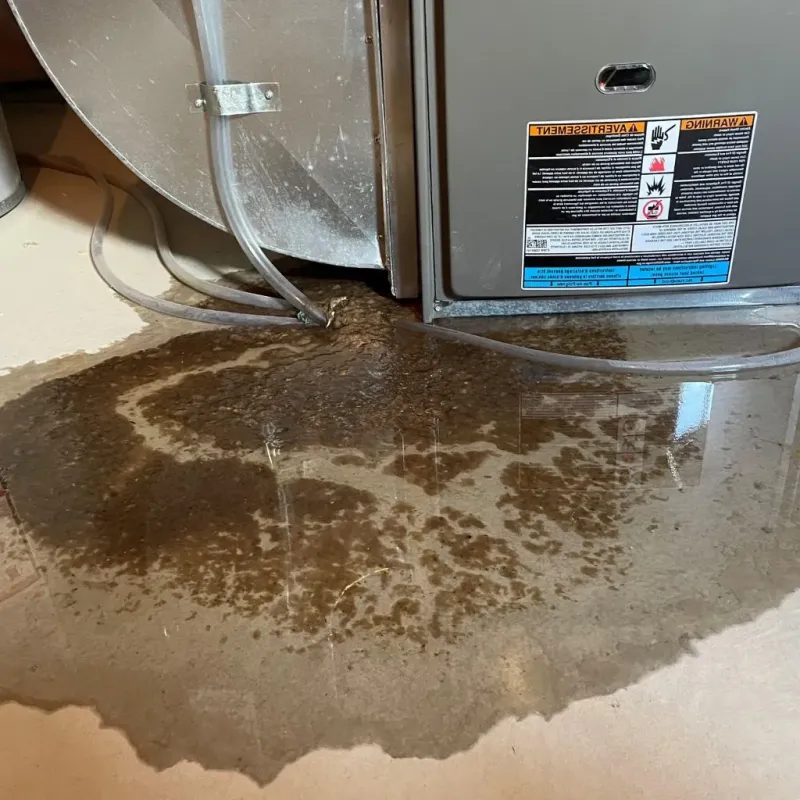 Pipe Burst and Leak Restoration in Brandermill, VA