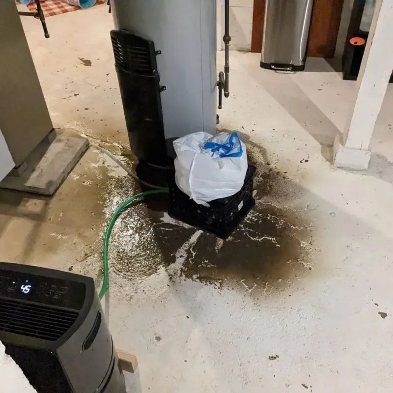 Sewage Backup Cleanup Service in Brandermill, VA